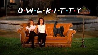 Friends + OwlKitty