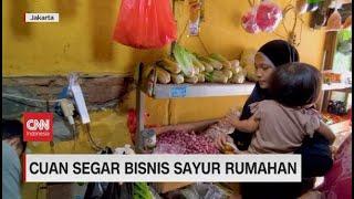 Cuan Segar Bisnis Sayur Rumahan