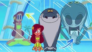 Zig und Sharko |  NEUE STAFFEL 4 ‍ Illusion! (S04E51) | Volledige aflevering in HD