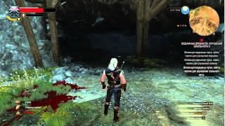 Witcher 3, Улучшенные перчатки школы Кота