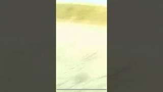 Charlie (From Hazbin Hotel) Chases After Jason And Danny(No 31Studios Allowed)