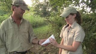 Mist Netting Kentucky's Songbirds