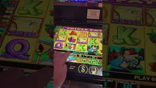 Betty the Yetty huge win! #slot #casinogame