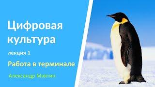 Цифровая культура - y2021 л1 - Александр Маятин - Работа в терминале