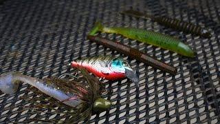 My Top 5 Favorite Lures for Bass
