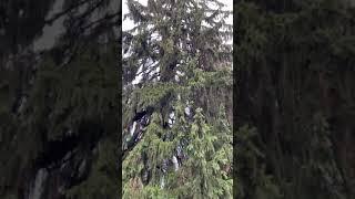 Сила и красота природы