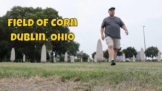 Meandering through  "Field of Corn (with Osage-orange Trees)" aka "Cornhenge" in Dublin, Ohio