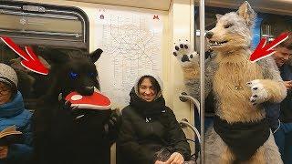 Вы удивитесь что делают ФУРРИ В МЕТРО / Furry in the Moscow metro  Irruan