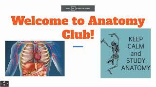 Anatomy Club