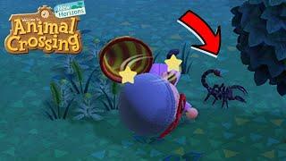 WHAT Happen If A Scorpion Bite you + A Shark Release! -  Animal Crossing New Horizons