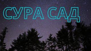 Сура САД