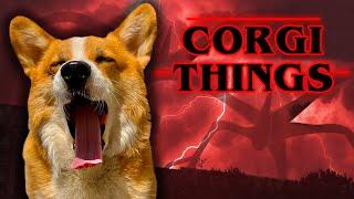 Corgi Battles Vecna's Curse!