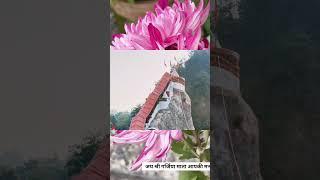 Garjiya devi Ramnagar, Rangrez new song #matasong #garjiyadevi  #rangrez #ytshorts #viral #tranding