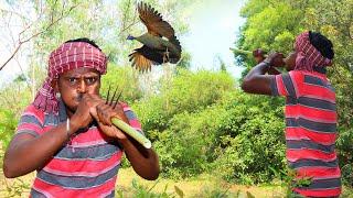 GUINEA FOWL Catch | Apocalypto Hunting and Primitive Cooking | Eating Delecies| Village Hunter