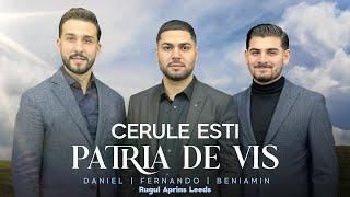 Daniel Paun & Fratii din Leeds -CERULE ESTI PATRIA DE VIS [ Beniamin,Fernando] (Official Video) 2024