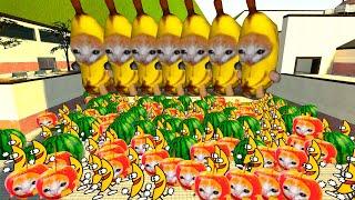 Frut Invasion Again! Banana, Banana Cat, Apple Cat, Watermelon Nextbot Gmod