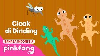 Lagu Cicak-cicak di dinding 1 Jam | Lagu Anak | Pinkfong Indonesia