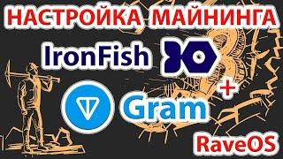 ️ Dual mining Iron Fish + Gram lolminer в RaveOS. Настраиваем майнинг Gram + Iron в RaveOS