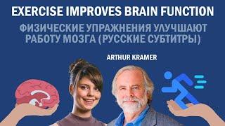 Exercise improves brain function/Спорт улучшает работу мозга // Arthur Kramer, Polina Krivykh