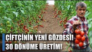 Çiftçinin Yeni Gözdesi! 400 Metrekareden 30 Dönüme Serada Üretim! / AGRO TV HABER