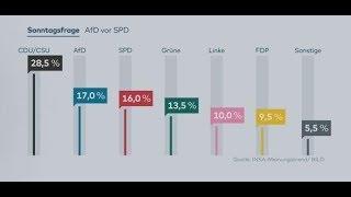 INSA-TREND: AfD überholt SPD in Meinungsumfrage