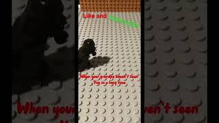When your grandpa haven’t seen you in a while #lego #shorts