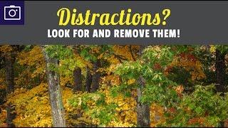 How to look for and remove distractions in your Photographs
