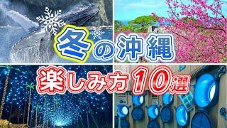 【冬の沖縄本島】冬にするべきアクティビティや観光スポットを10選紹介します初心者必見です！