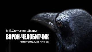 «Ворон-челобитчик». М.Е.Салтыков-Щедрин. Читает Владимир Антоник