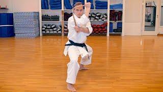The Art of KOBUDO 