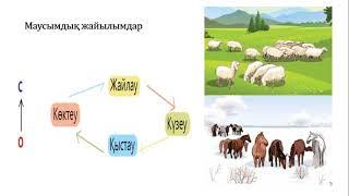 3 сынып дүниетану Көшпелілер мен отырықшылардың өмір салты 2 тоқсан №12 сабақ