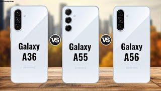 Samsung A36 5G vs Samsung A55 5G vs Samsung A56 5G || Comparison