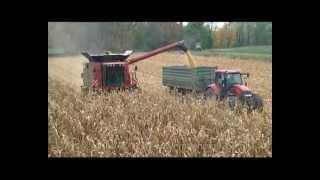 CASE IH 6088 Axial-Flow & Olimac Drago 8/75