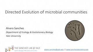 Directed evolution of microbial communities - Alvaro Sanchez