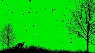 Falling Tree Leaves Green Screen Video | Falling Leaf Green Screen Template | Green Screen Effects