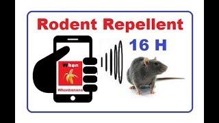 RODENT REPELLENT 16 Hrs - take the rats away with your smartphone