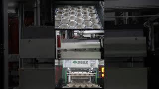 Pulp molding tableware package machine for bowl #pulpmolding
