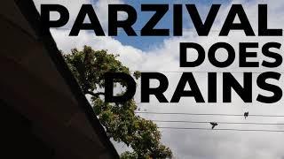 Parzival does drains right - Parzival Plumbing