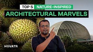 Top 5 Unexpected Examples of Biomimicry in Architecture | #Novatr