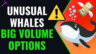 OPTIONS ALERT! Intro To Option Flow Unusual Whales Options Day Trading