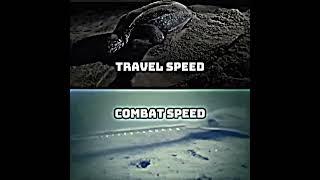 Swamp vs Ocean Wheel Part 1