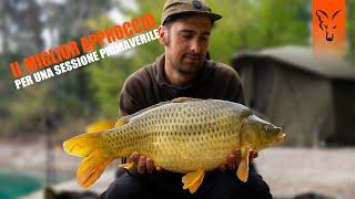 Il miglior approccio per una sessione primaverile | Carp fishing Italia