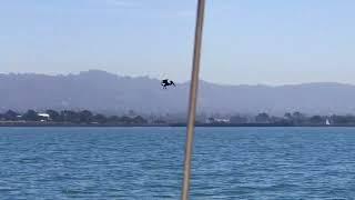 Snappy vs the winds of SF Bay.