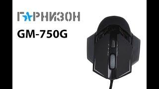 Обзор игровой мыши Гарнизон GM-750G