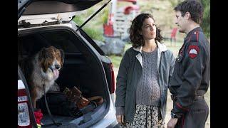 This Dog Changed His Life – Rescued by Ruby Recap