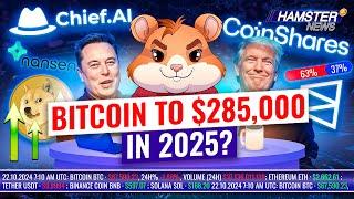 AI predicts cancer, DOGE soars after Musk’s comment, Bitcoin 2025 outlook ️ Hamster News