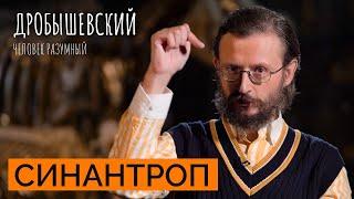 Как в Китае изучают общих предков // Дробышевский. Человек разумный