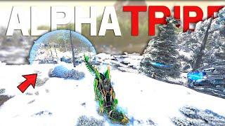 We Countered Alpha Tribes Fob In ARK! Road To Alpha E11