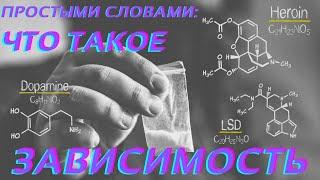 ЗАВИСИМОСТЬ: причины, последствия, лечение наркомании и алкоголизма | биохимия зависимого и чувства