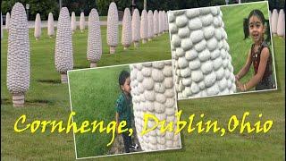 Cornhenge - Dublin, Ohio..  Field of Corn/ Giant Corn Cobs.. Attractions in Ohio, USA